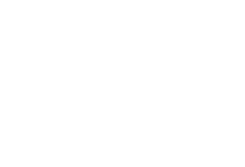Apex Stages